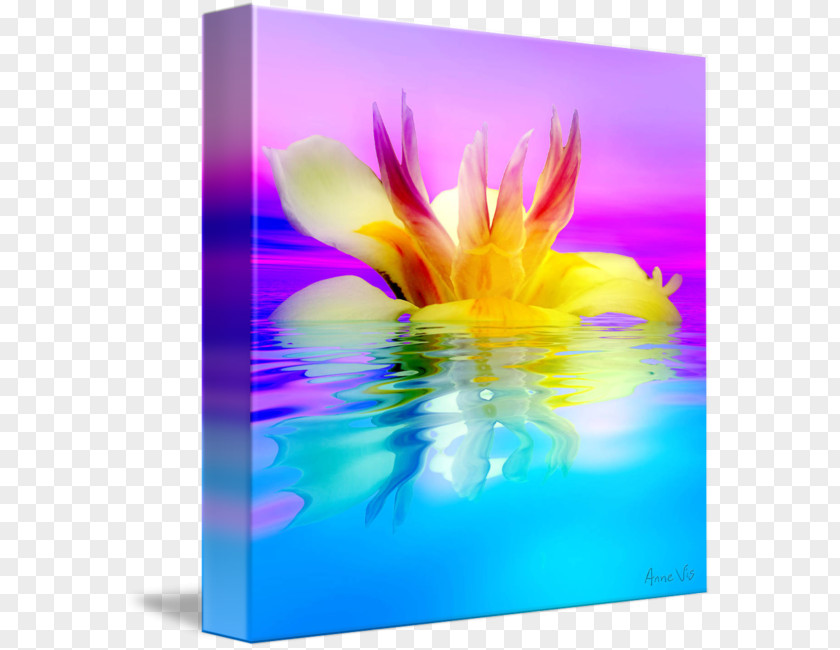 Flower Gallery Wrap Still Life Photography Graphics Canvas PNG