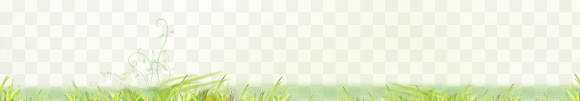 Grass Background Energy Sunlight Wallpaper PNG