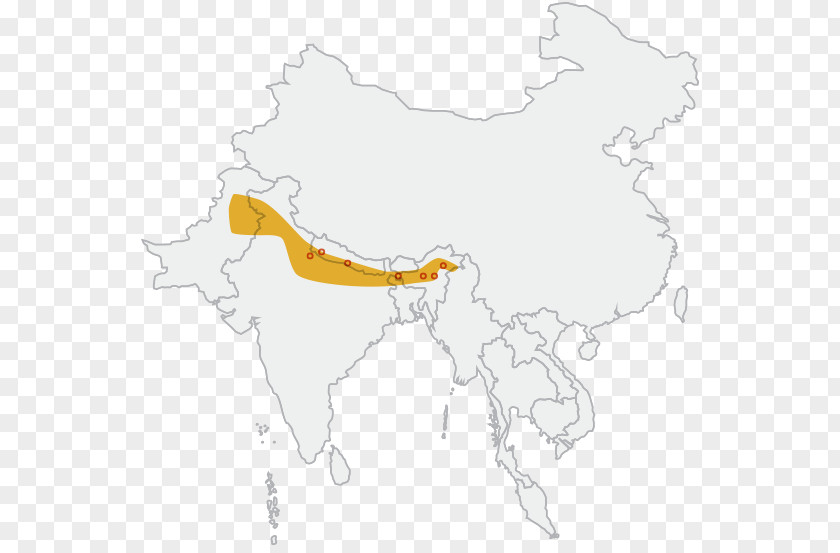 Indian Rhinoceros Map Animal Horn PNG