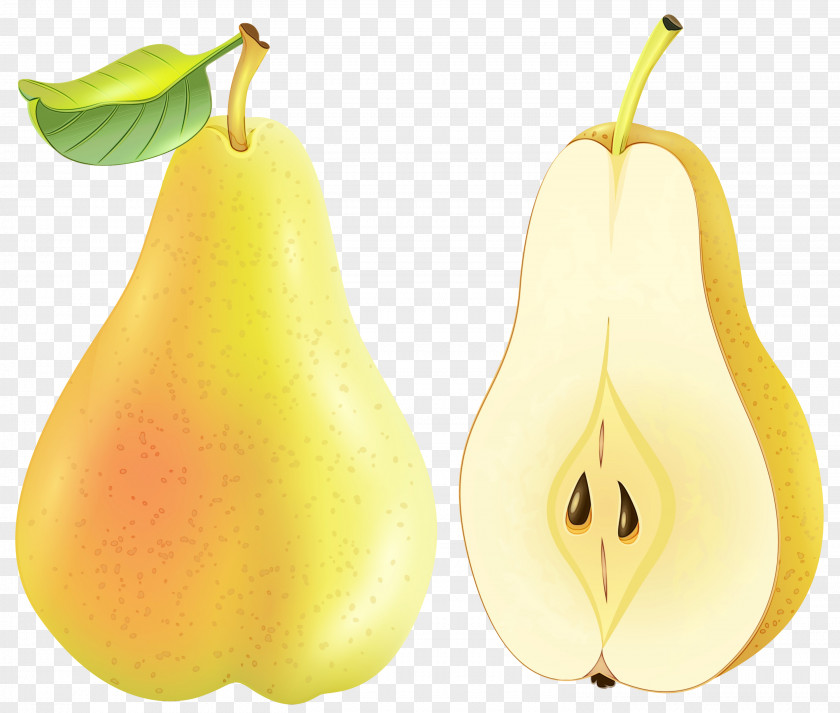 Nepenthes Food Pear Plant Tree Fruit PNG