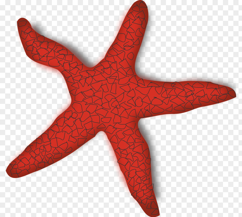 Shellfish Clipart Starfish Clip Art PNG