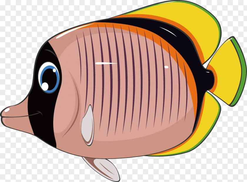 Cartoon Fish Drawing Clip Art PNG