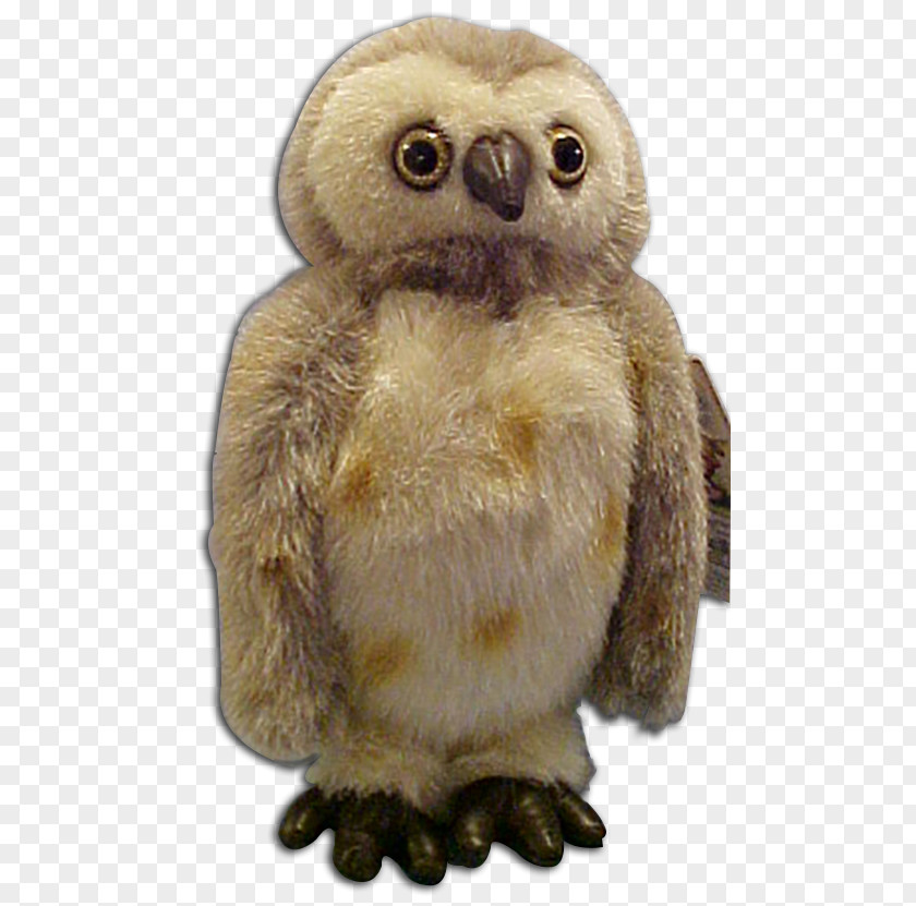 Owl Beak Stuffed Animals & Cuddly Toys Terrestrial Animal PNG