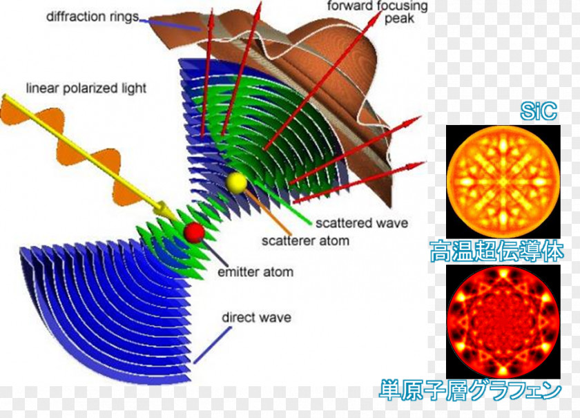 Activity Material Diffraction 創成科学研究科 Nara Institute Of Science And Technology Electron 光電子 PNG