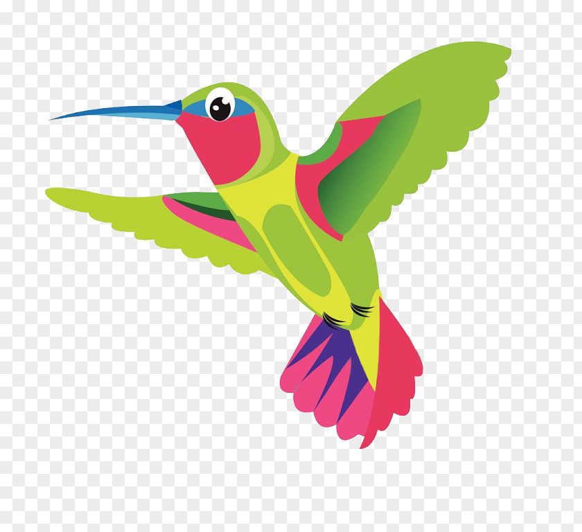 Bird Hummingbird PNG