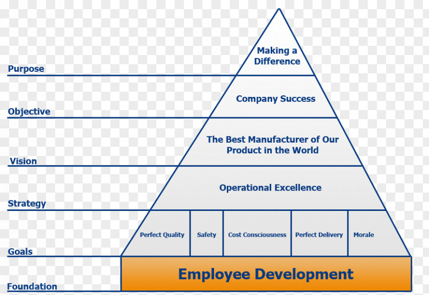 Business Organization Employment Job Pyramid PNG