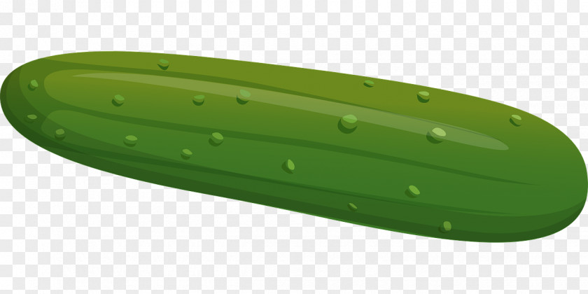 Green Cucumber Vegetable Pepino PNG