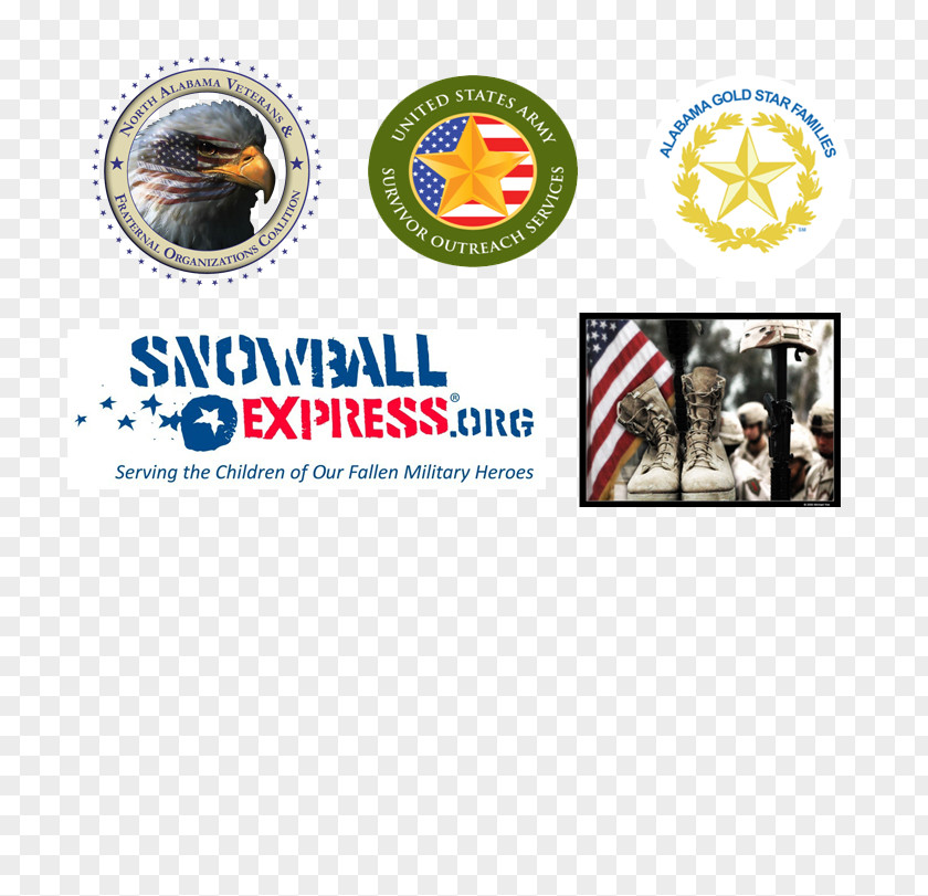 Racing Flyer Logo Brand Snowball Express Inc Font PNG