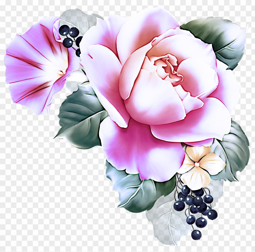 Rose PNG