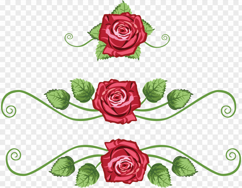 Vine Centifolia Roses Flower Garden Clip Art PNG