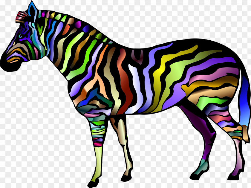 Zebra Clip Art PNG