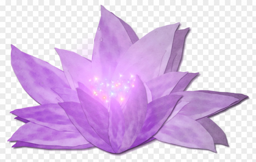 Flower Nelumbo Nucifera Lilium Clip Art PNG