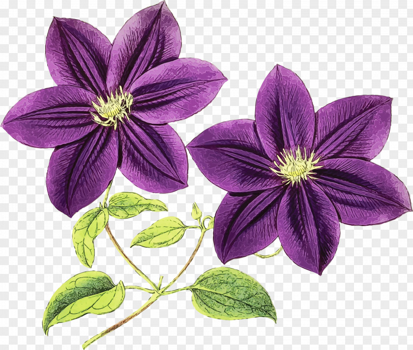 Leather Flower Choix Des Plus Belles Fleurs Clip Art Image PNG