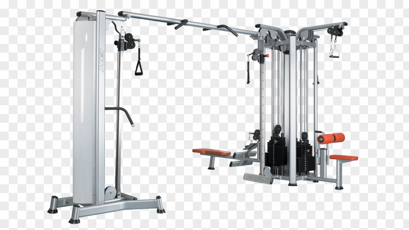 Machine Weight Training Bodybuilding Physical Fitness PNG