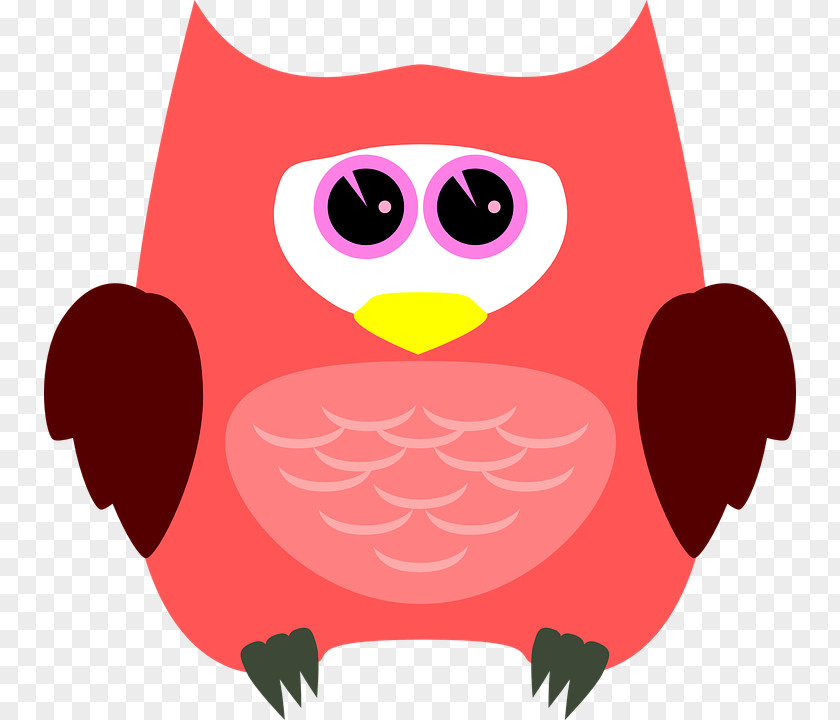 Owl A Wise Old Bird Clip Art Parrot PNG