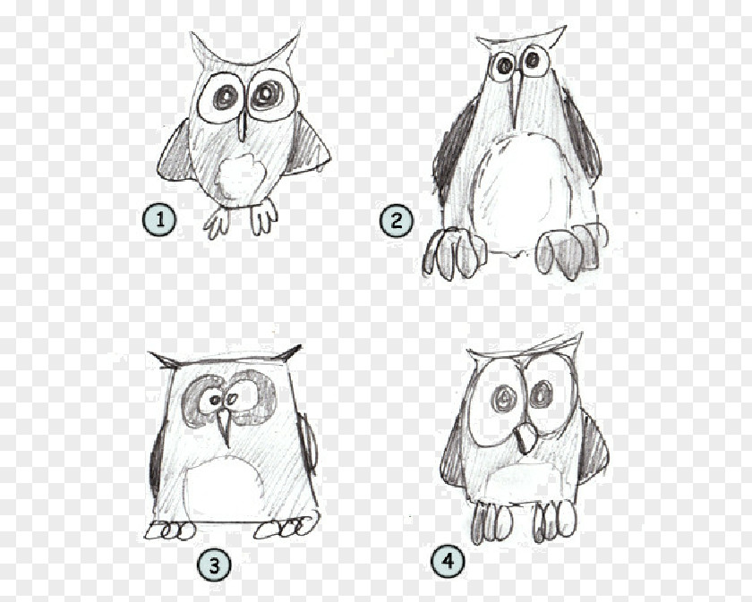 Owl Drawing Cartoon Sketch PNG