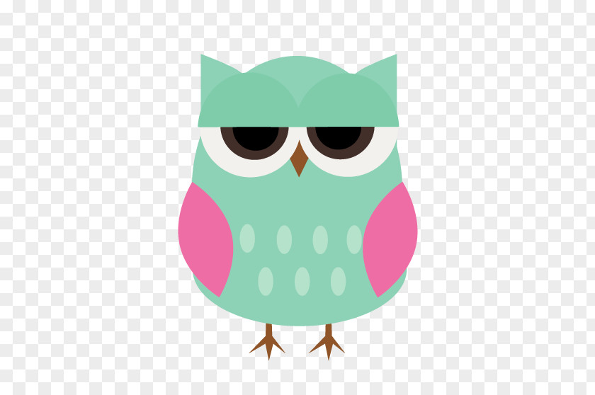 Owl Green Beak Clip Art PNG