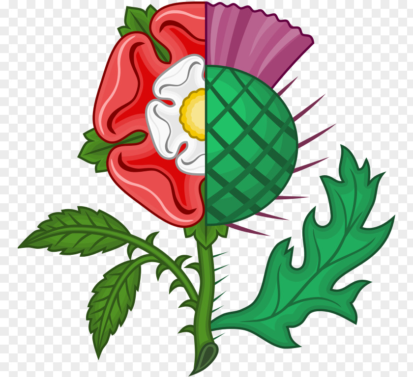 Rose Thistle Scotland The Thrissil And Rois Union Of Crowns PNG