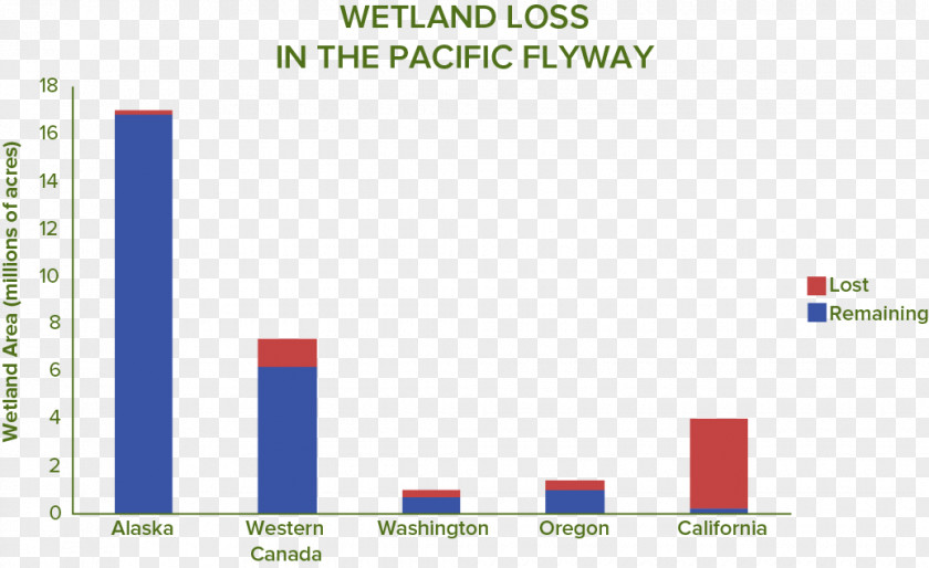 Waterbirds Wetlands International Water Bird California Percentage PNG