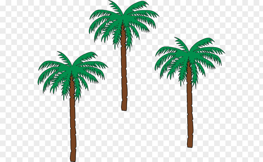 Date Palm Arecaceae Tree Plant Clip Art PNG