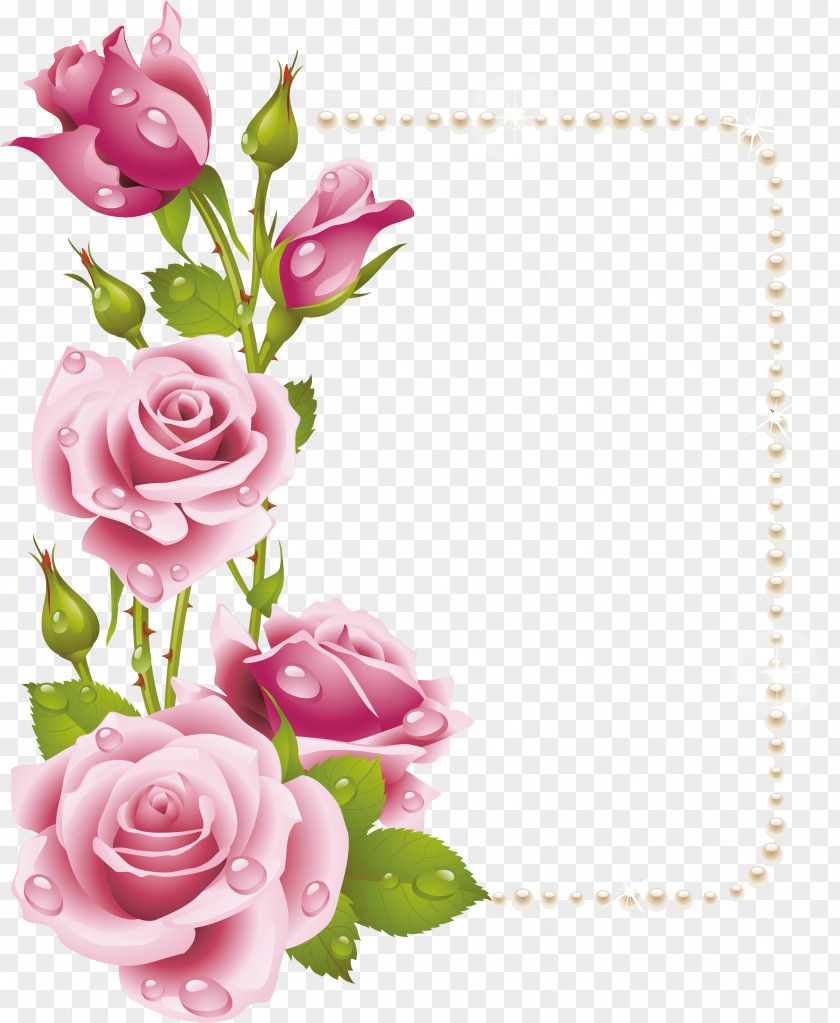 Five Rose Pink Flower Clip Art PNG