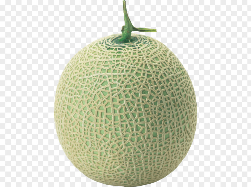 Melon Cantaloupe Galia Honeydew Hami PNG