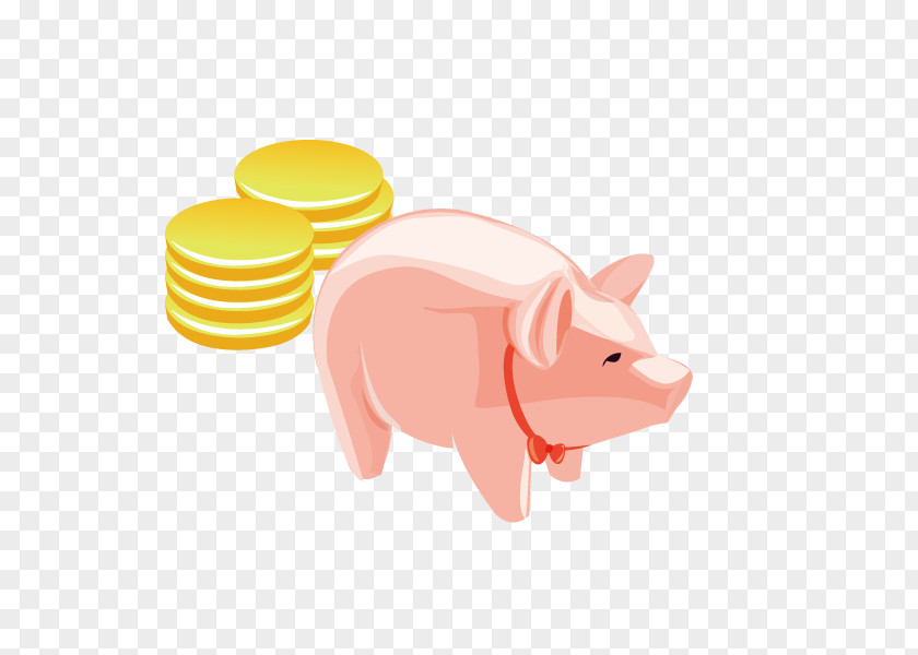 Money,gold,piggy,piggy Bank Domestic Pig PNG