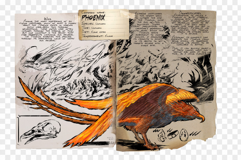 Phoenix ARK: Survival Evolved Gamescom Cross-platform Play PlayStation 4 PNG