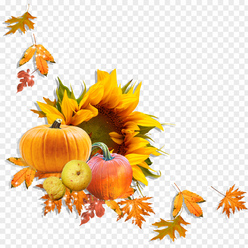 Pumpkin Digital Scrapbooking Drawing Clip Art PNG