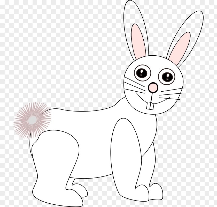 Rabbit Domestic Whiskers Hare Cat PNG