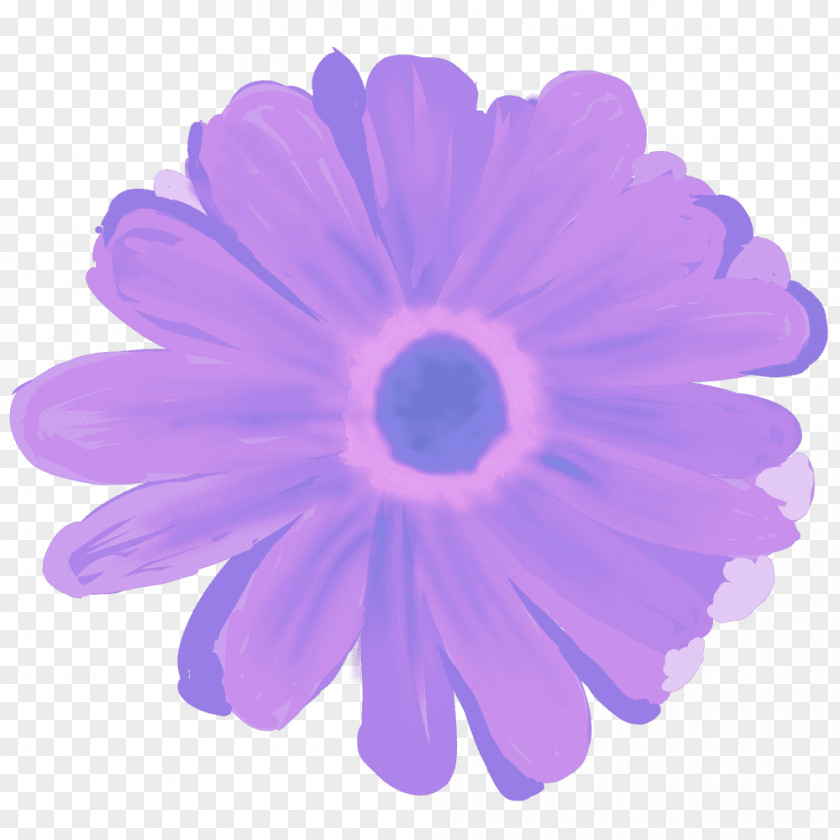 Bera Transvaal Daisy PNG