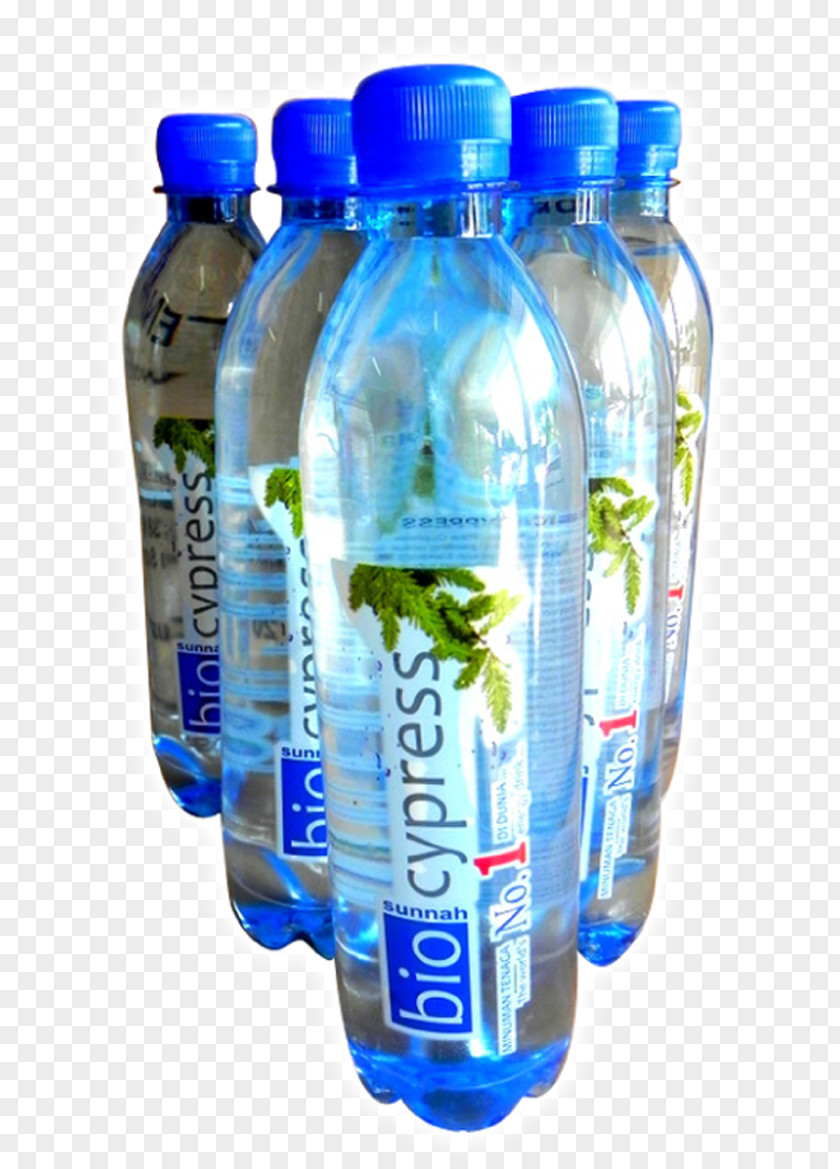 Bottle Water Bottles Mineral Plastic Bottled PNG