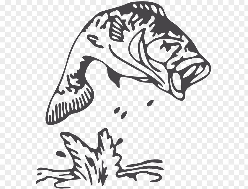 Fish Jumping Out Of Bowl Clip Art Largemouth Bass Drawing Image PNG