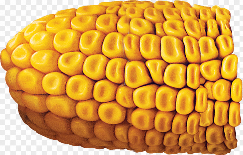Food Import Corn On The Cob Finance Maize Price Money PNG