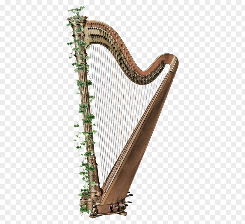 Harp Musical Instrument PNG