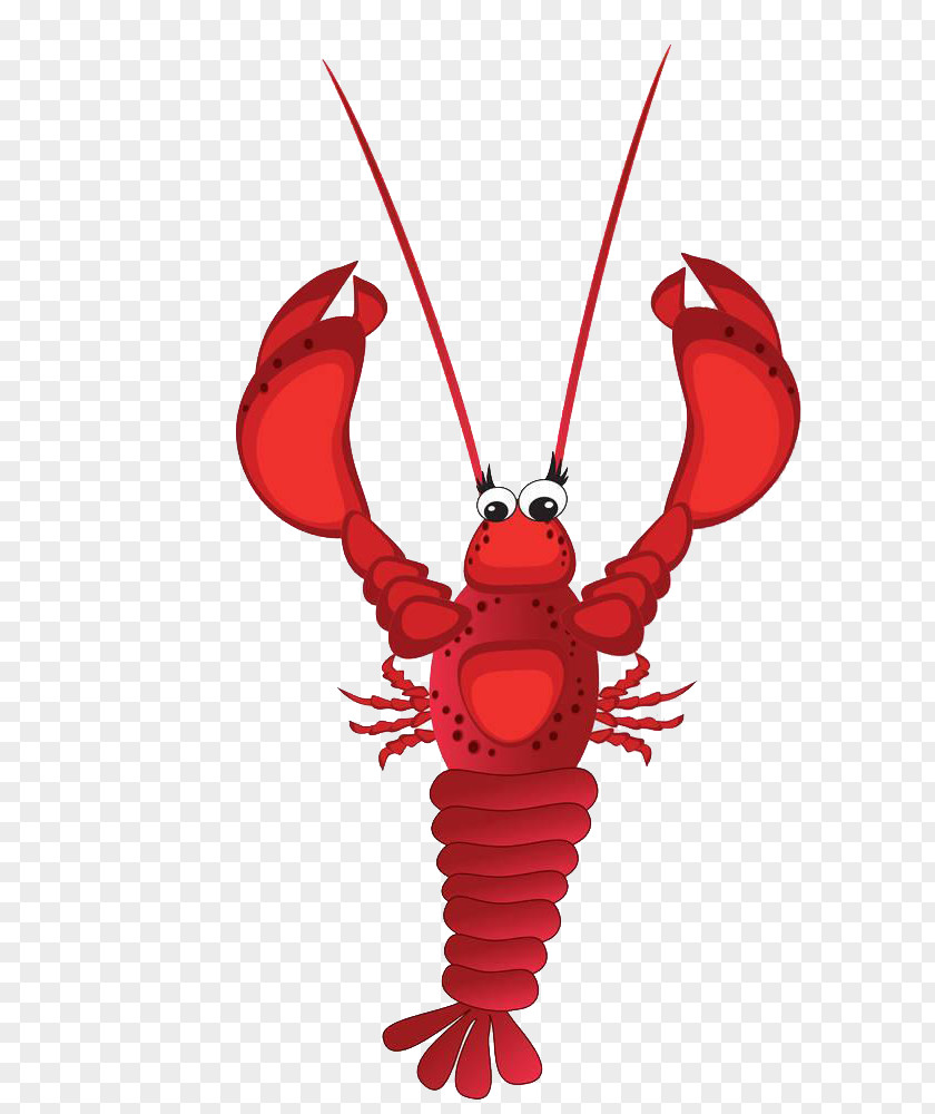 Lobster Tail With Long Lashes Homarus Crayfish Illustration PNG