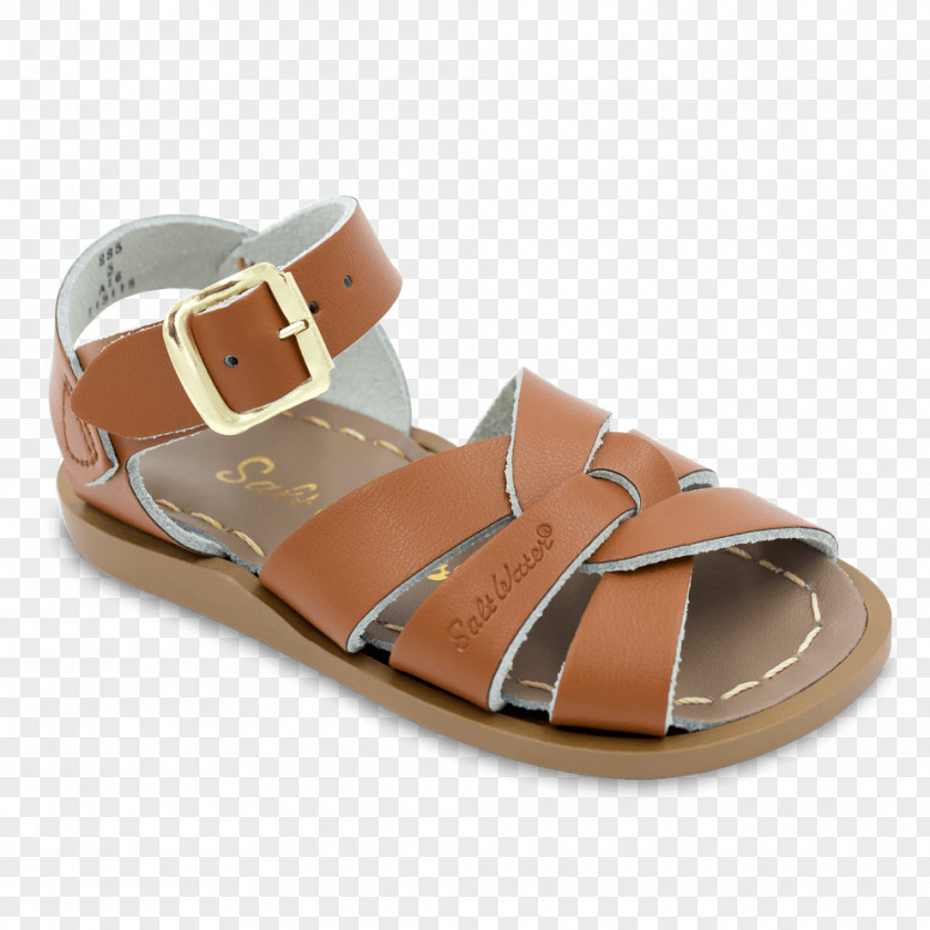 Sandal Saltwater Sandals Shoe Clothing Leather PNG