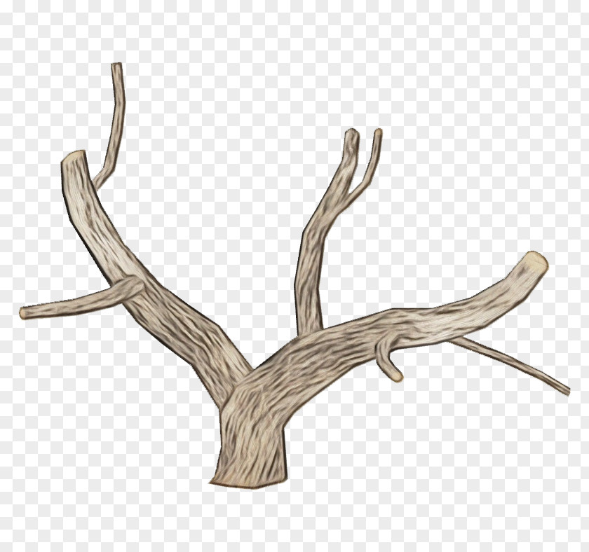 Twig Driftwood Background PNG