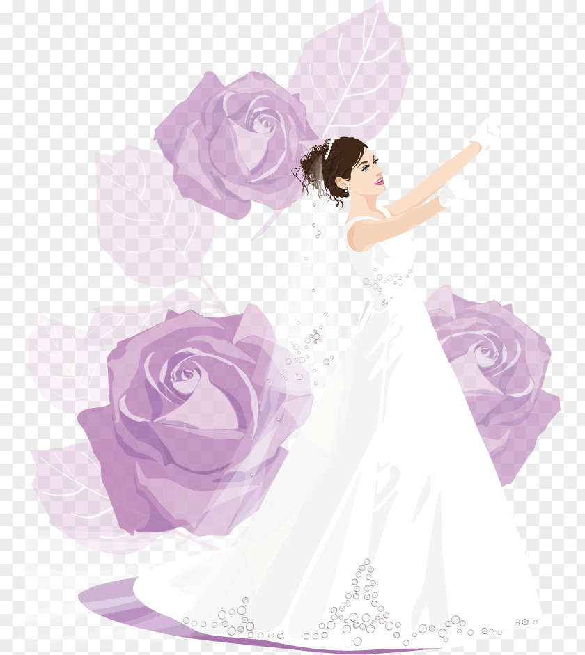 Wedding Vector Elements Bride Photography Illustration PNG