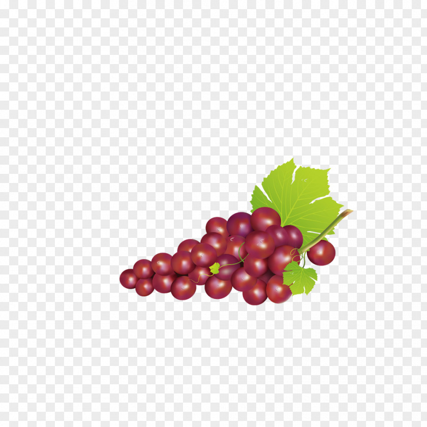 A Bunch Of Grapes Grape Icon PNG