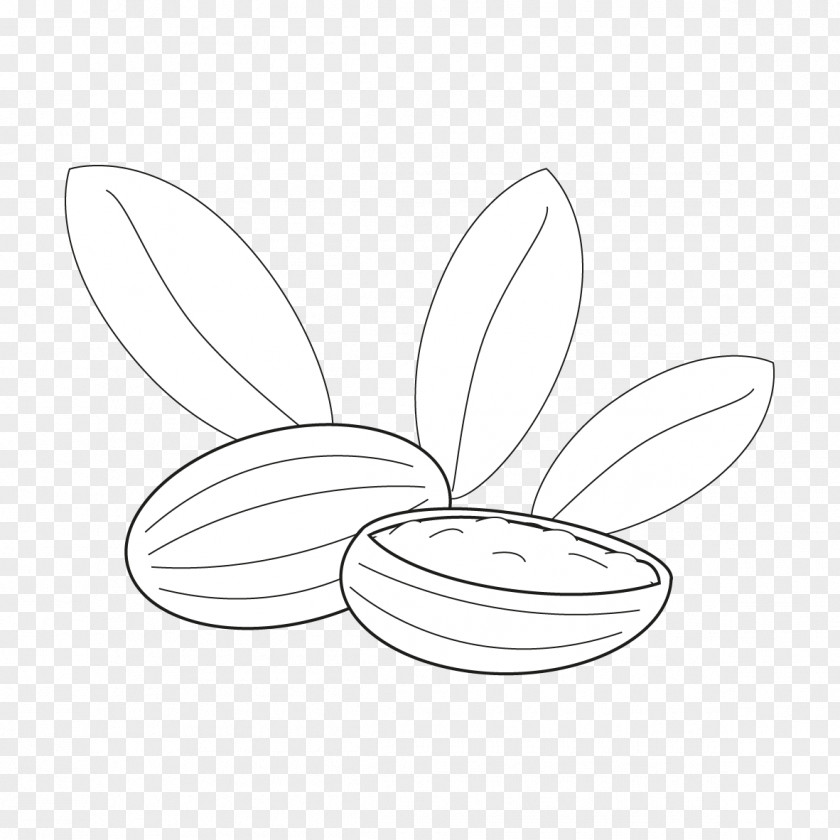 Butterfly /m/02csf Line Art Drawing Graphics PNG