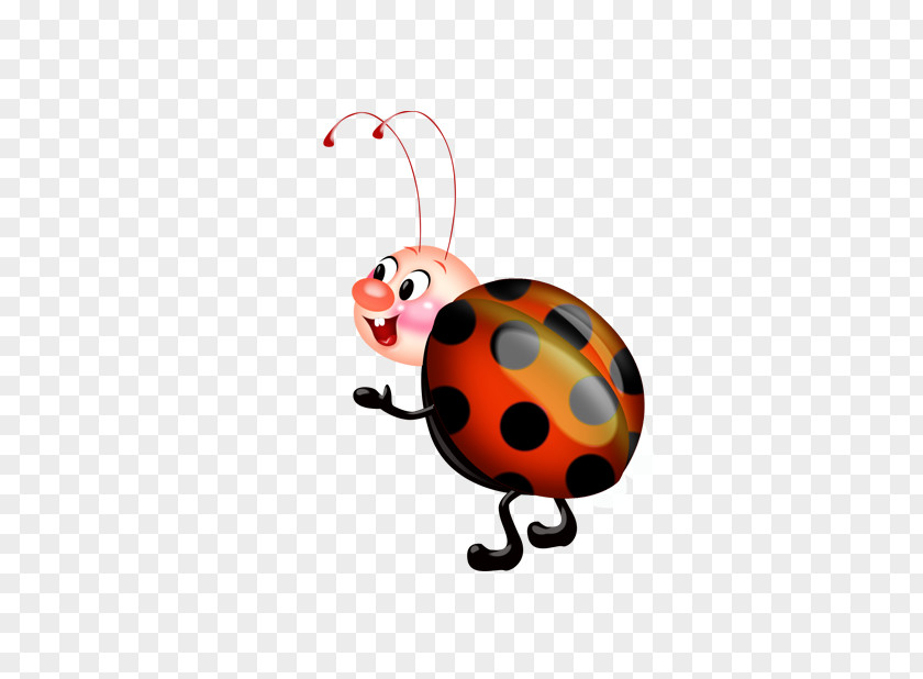 Cartoon Ladybug Ladybird Clip Art PNG