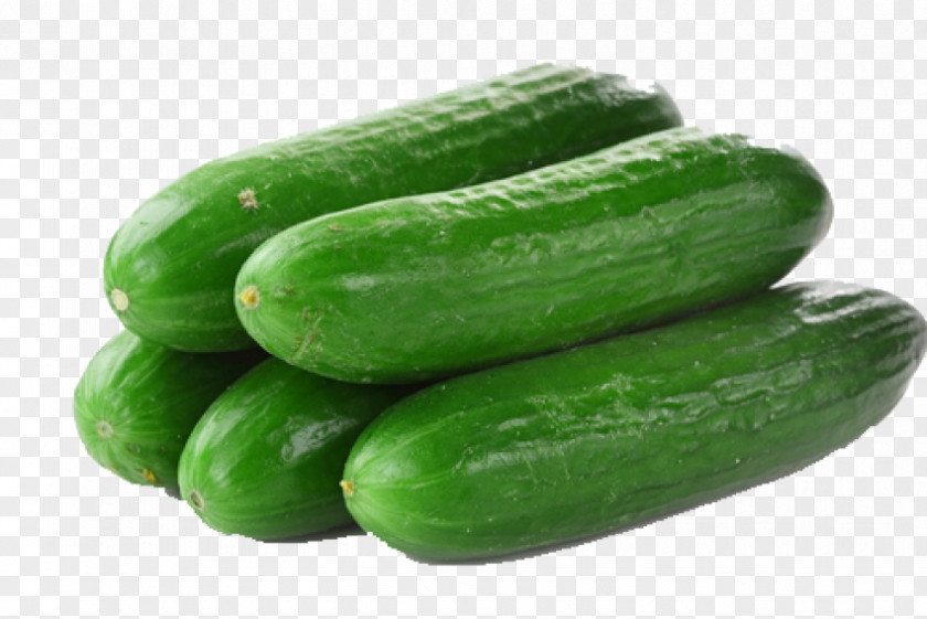 Cucumber Pickled Lebanese Cuisine Vegetable Pickling PNG