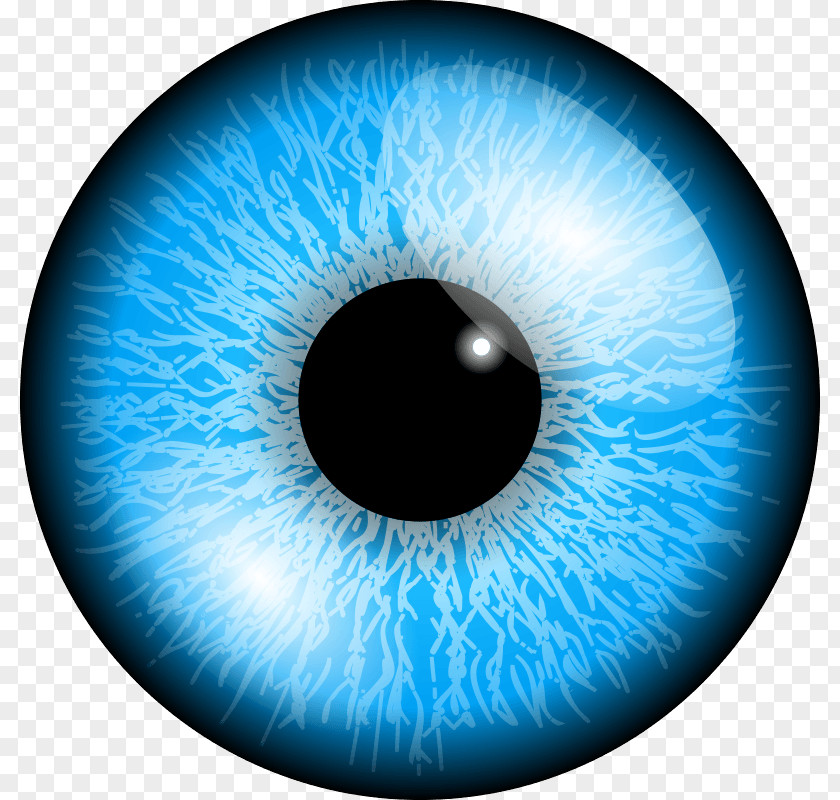 Eye Image Color Blue Clip Art PNG