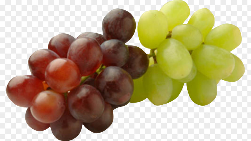 Fruit Platter Common Grape Vine Seed Oil Raisin PNG