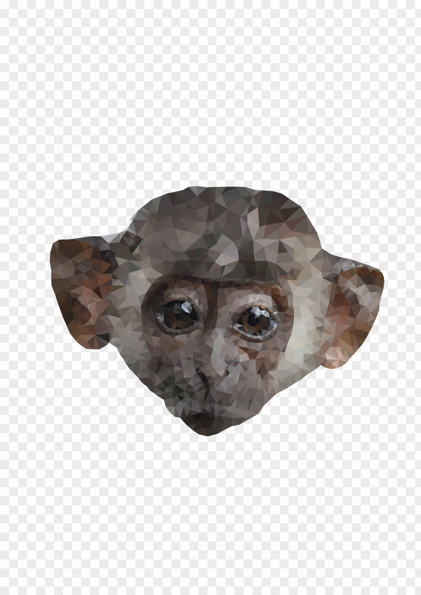 Low Poly Primate Monkey Ape PNG