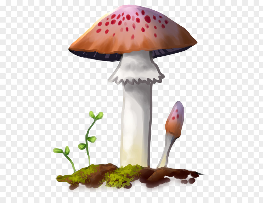 Mush Mushroom PNG