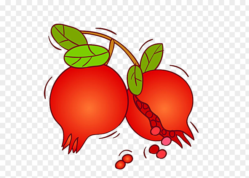 Pomegranate Fruit Auglis PNG
