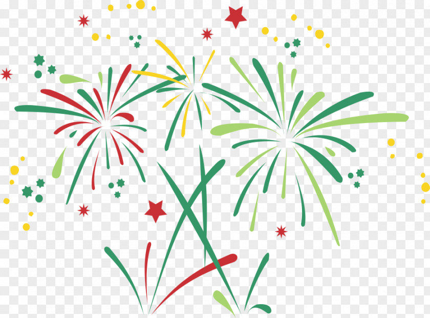 Vector Color Fireworks Download PNG