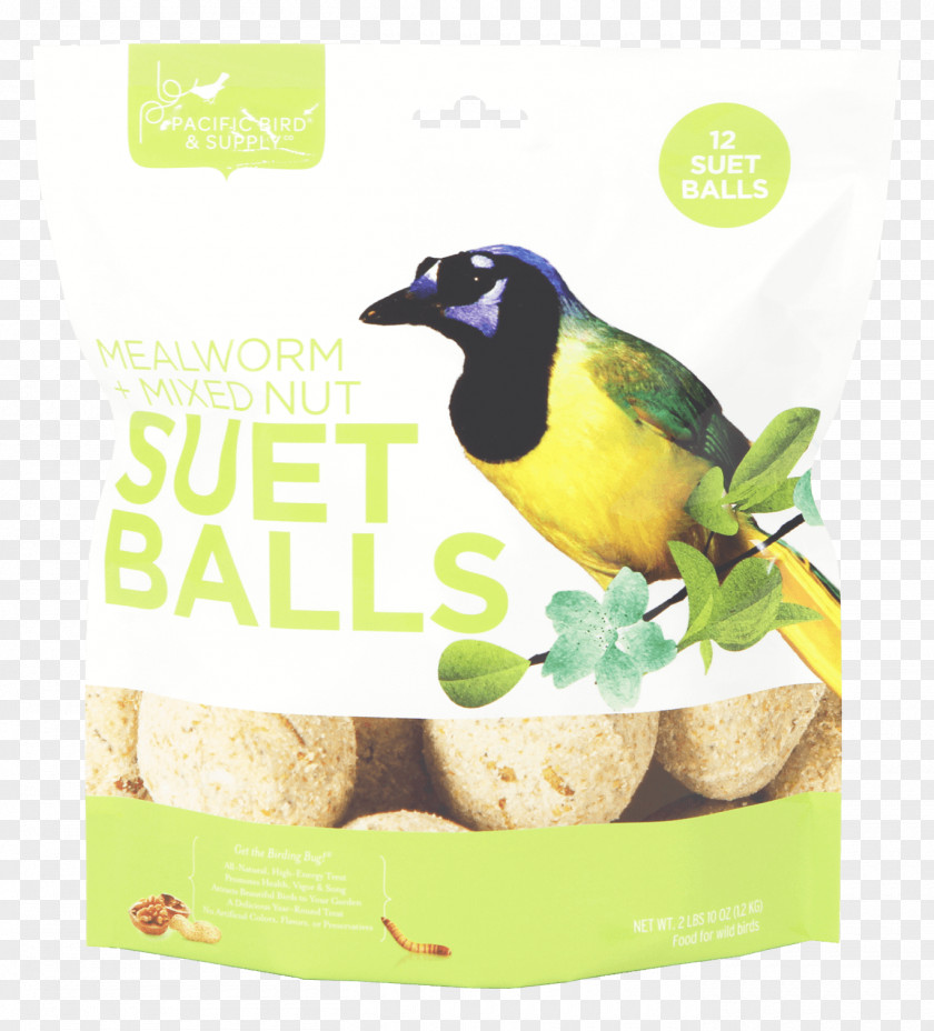 Bird Suet Cake Advertising Beak PNG